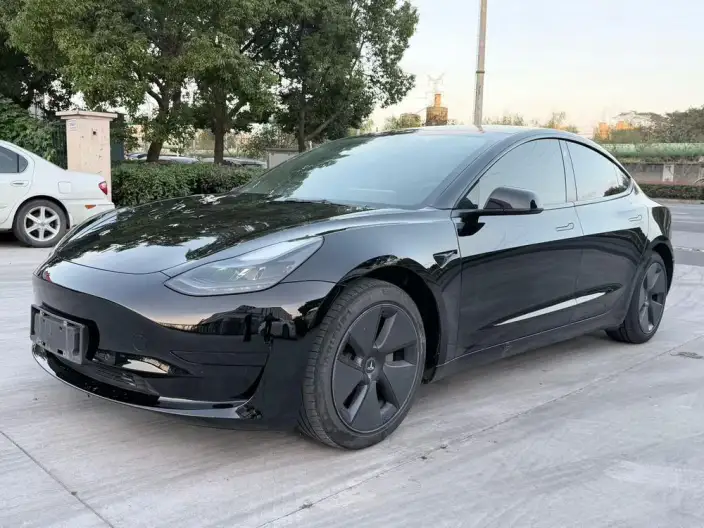 Model 3 2021 Model Standard Battery Life Rear Drive L Class Edition 3D6 – фото 1