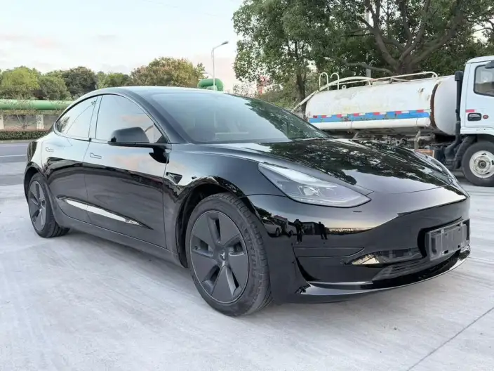 Model 3 2021 Model Standard Battery Life Rear Drive L Class Edition 3D6 – фото 3
