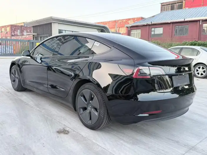 Model 3 2021 Model Standard Battery Life Rear Drive L Class Edition 3D6 – фото 4