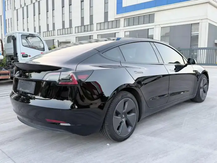 Model 3 2021 Model Standard Battery Life Rear Drive L Class Edition 3D6 – фото 6