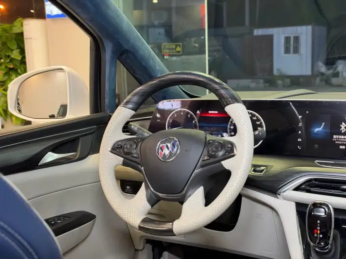Buick GL8 2023 Model ES Luzun 2.0T Comfort Model – фото 10