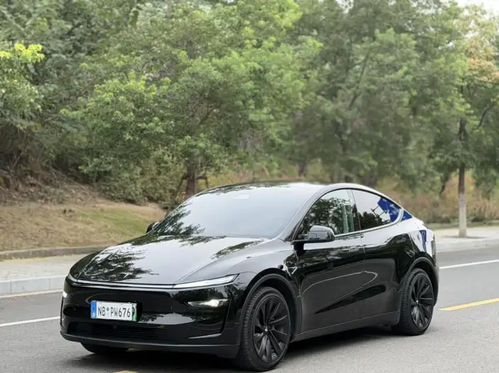 Model Y 2025 Model Rear-wheel drive version – фото 1