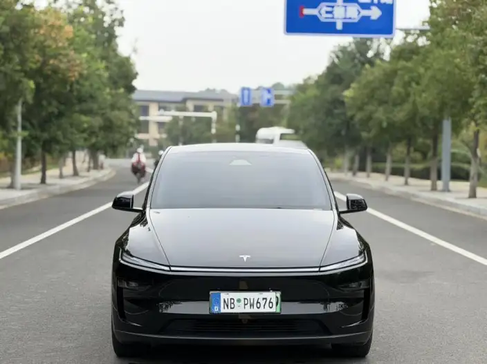 Model Y 2025 Model Rear-wheel drive version – фото 2