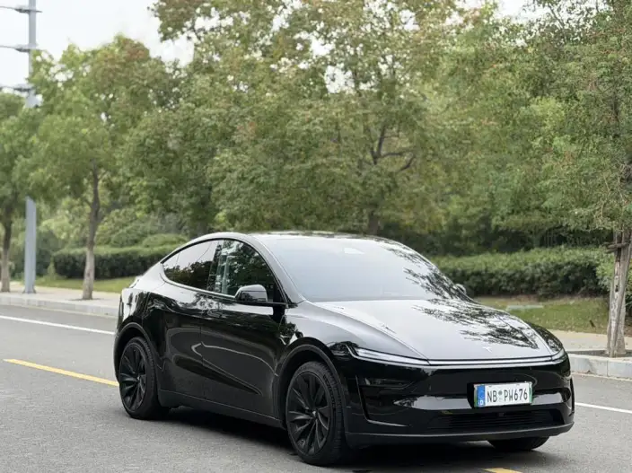 Model Y 2025 Model Rear-wheel drive version – фото 3