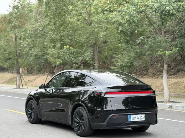 Model Y 2025 Model Rear-wheel drive version – фото 4
