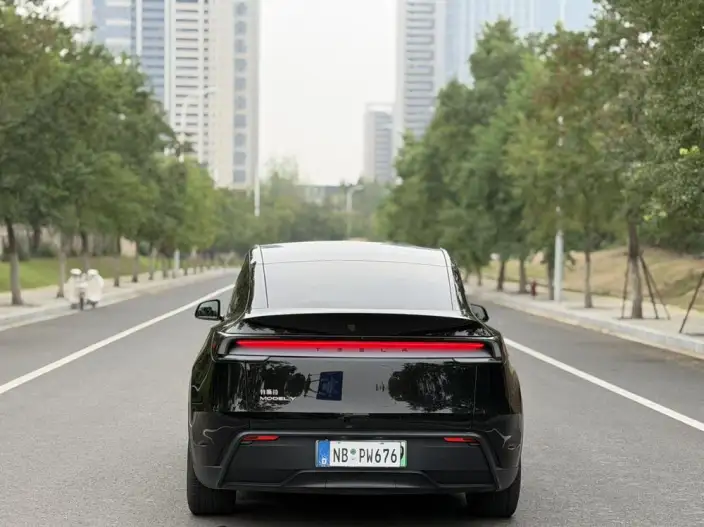 Model Y 2025 Model Rear-wheel drive version – фото 5