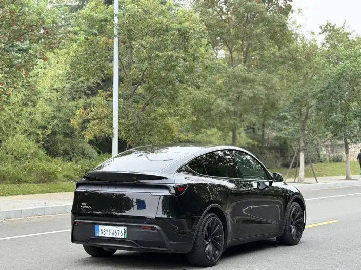 Model Y 2025 Model Rear-wheel drive version – фото 6