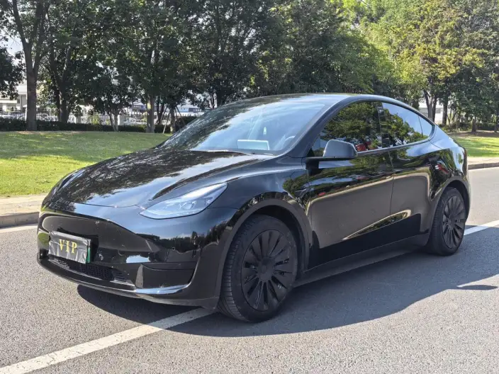 Model Y 2022 Model Facelift Rear-wheel drive version – фото 1