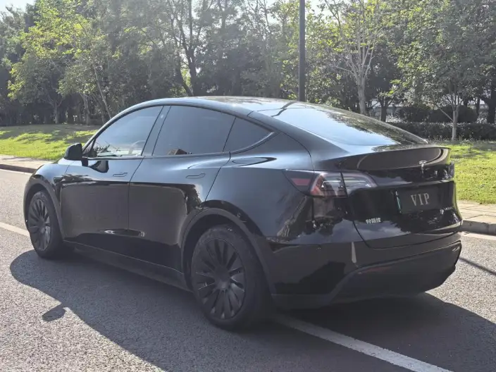 Model Y 2022 Model Facelift Rear-wheel drive version – фото 4