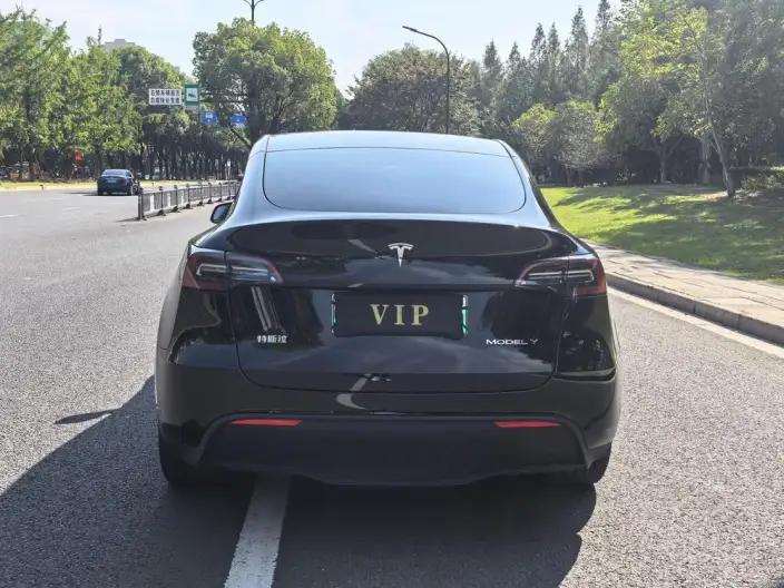 Model Y 2022 Model Facelift Rear-wheel drive version – фото 5