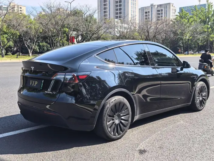 Model Y 2022 Model Facelift Rear-wheel drive version – фото 6