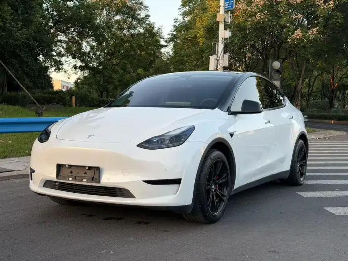 Model Y 2022 Model Facelift Rear-wheel drive version – фото 1