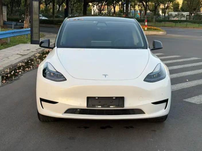 Model Y 2022 Model Facelift Rear-wheel drive version – фото 2