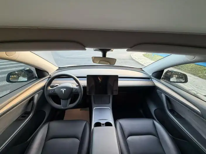 Model Y 2022 Model Facelift Rear-wheel drive version – фото 6
