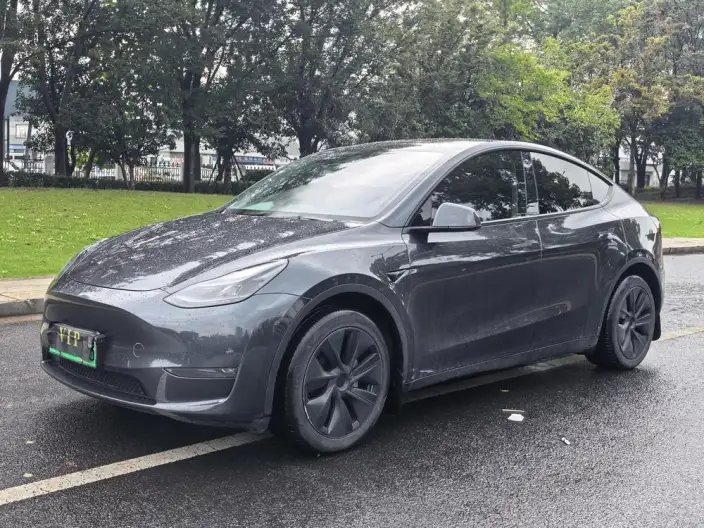 Model Y 2024 Model Long Battery Life Pro All-wheel drive version – фото 1
