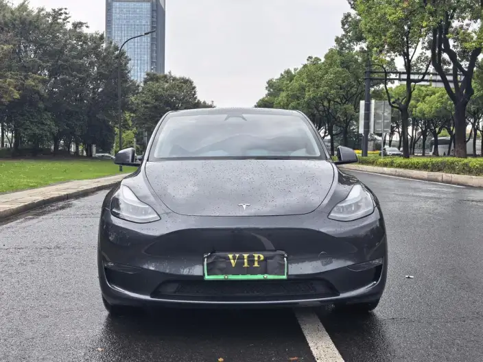Model Y 2024 Model Long Battery Life Pro All-wheel drive version – фото 2