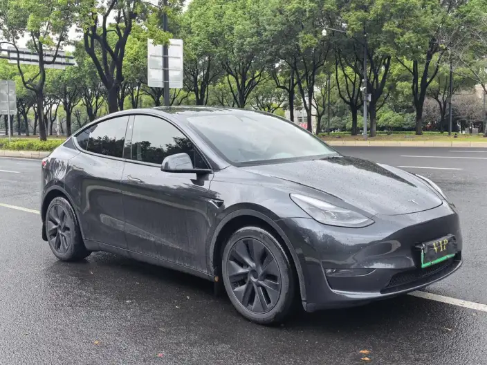 Model Y 2024 Model Long Battery Life Pro All-wheel drive version – фото 3