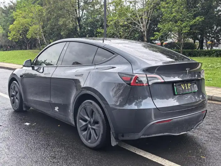 Model Y 2024 Model Long Battery Life Pro All-wheel drive version – фото 4