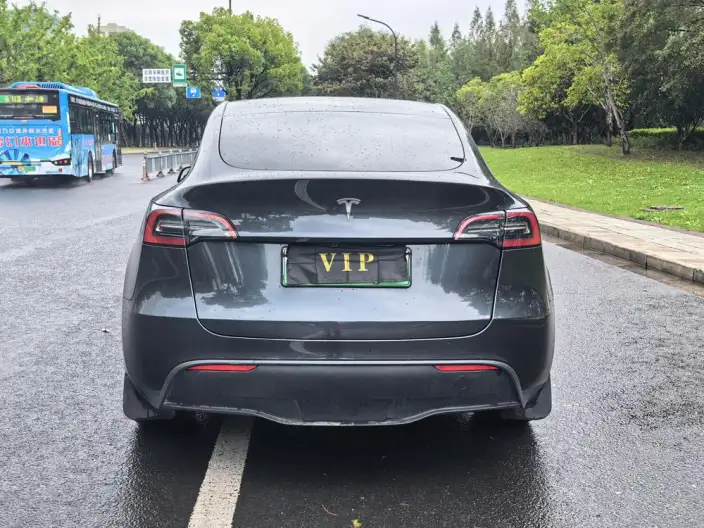 Model Y 2024 Model Long Battery Life Pro All-wheel drive version – фото 5