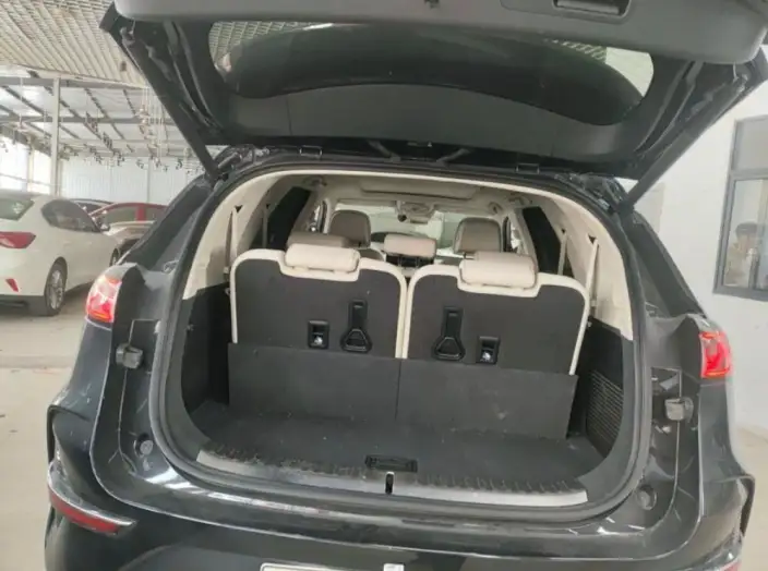 DENZA N8 DM 2023 Model 4WD Chao Hybrid Flagship VII seat Edition – фото 7