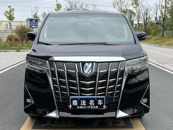 Elfa 2021 Model Hybrid 2.5L Premium Edition – фото 2