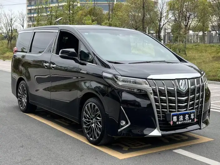 Elfa 2021 Model Hybrid 2.5L Premium Edition – фото 3