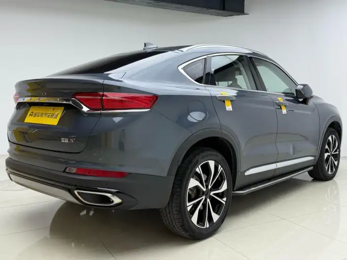 Xingyue S 2021 Model 2.0TD DCT 2WD Lightning Edition – фото 7