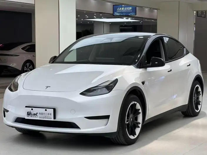 Model Y 2024 Model Rear-wheel drive version – фото 1