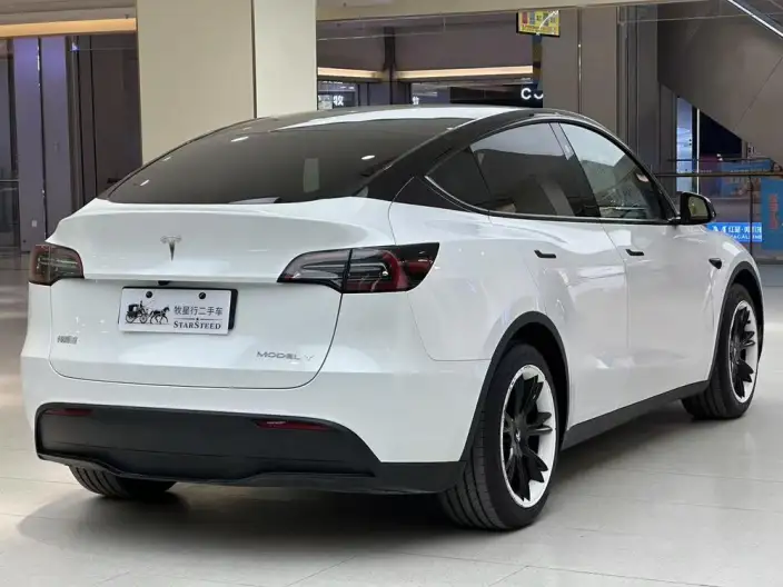 Model Y 2024 Model Rear-wheel drive version – фото 6