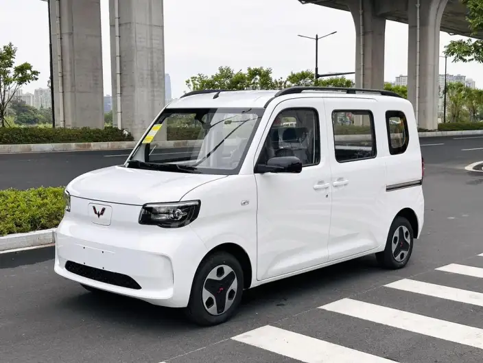 WULING Sunshine EV 2025 Model Enterprising Model
