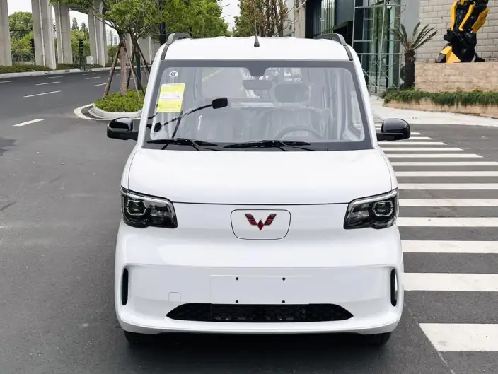 WULING Sunshine EV 2025 Model Enterprising Model