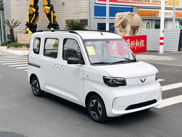 WULING Sunshine EV 2025 Model Enterprising Model