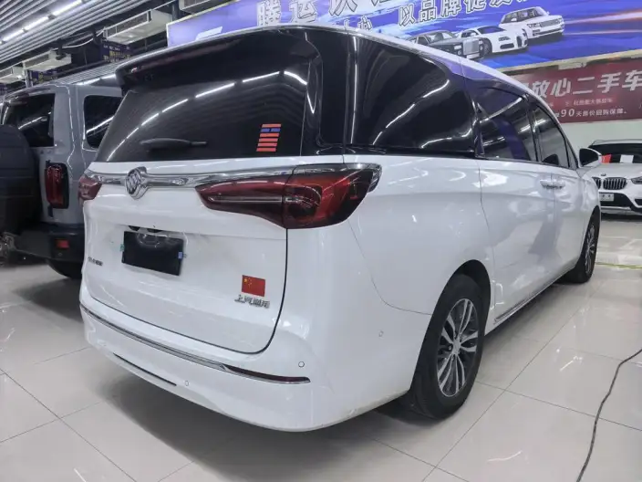 Buick GL8 2023 Model ES Luzun 2.0T Exclusive Model – фото 6