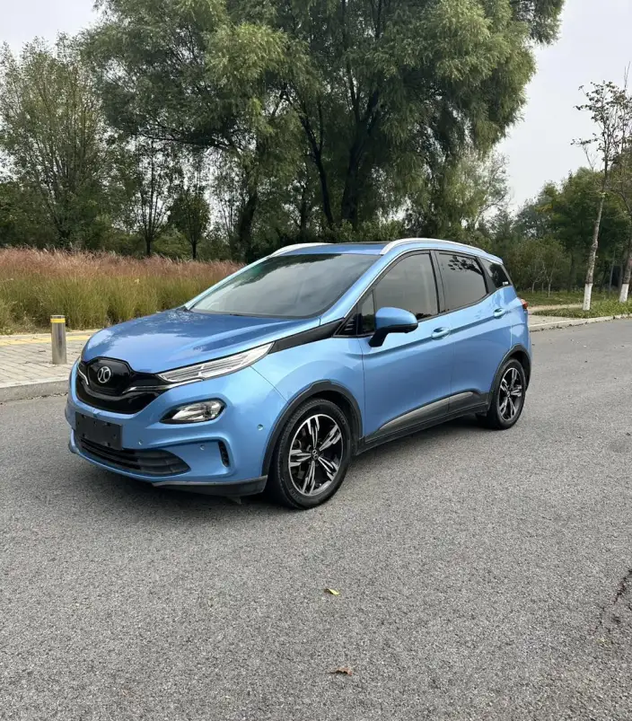 BIAC EX3 2019 Model R600 Jinling Edition – фото 1