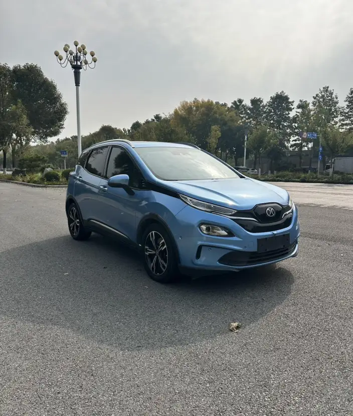 BIAC EX3 2019 Model R600 Jinling Edition – фото 3