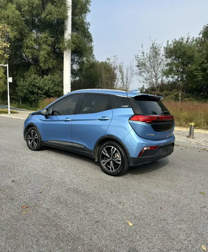 BIAC EX3 2019 Model R600 Jinling Edition – фото 4