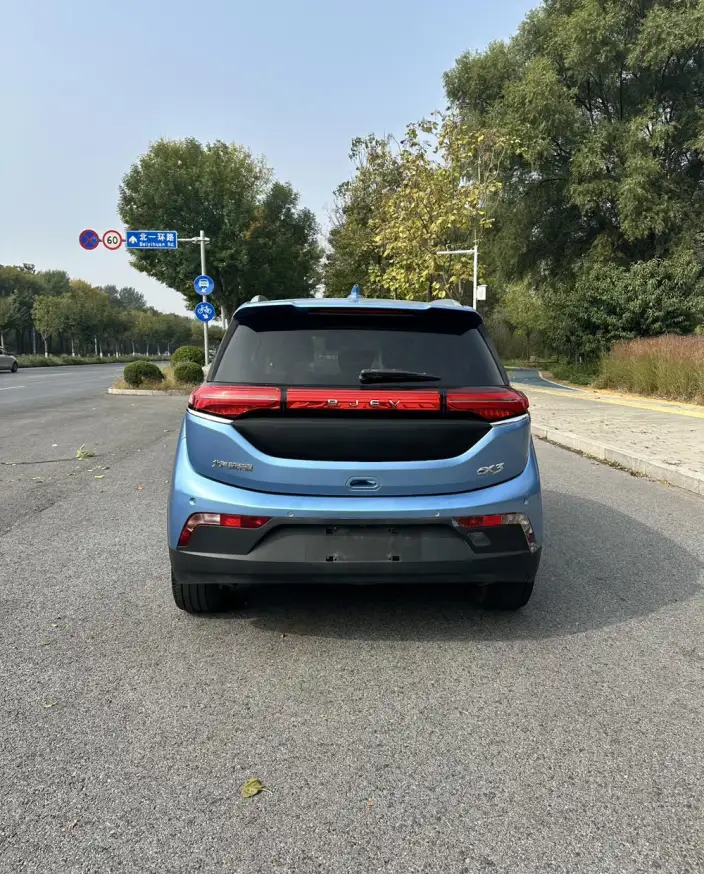 BIAC EX3 2019 Model R600 Jinling Edition – фото 5