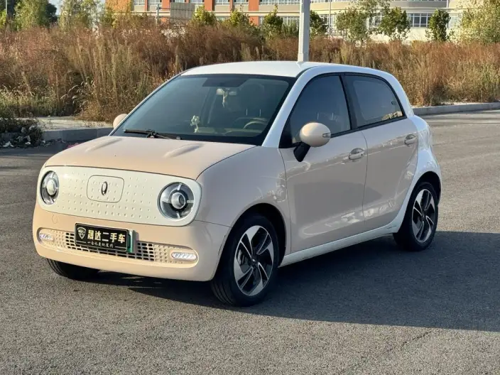 ORA Black Cat 2022 Model 351km Comfort Model Ternary lithium