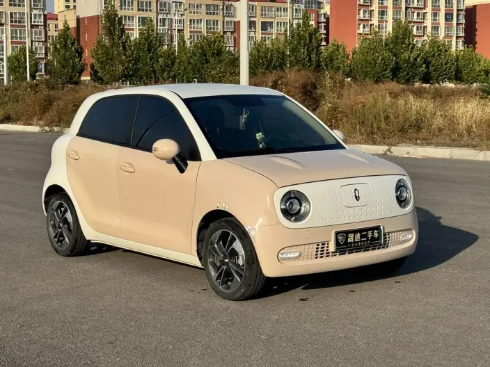 ORA Black Cat 2022 Model 351km Comfort Model Ternary lithium