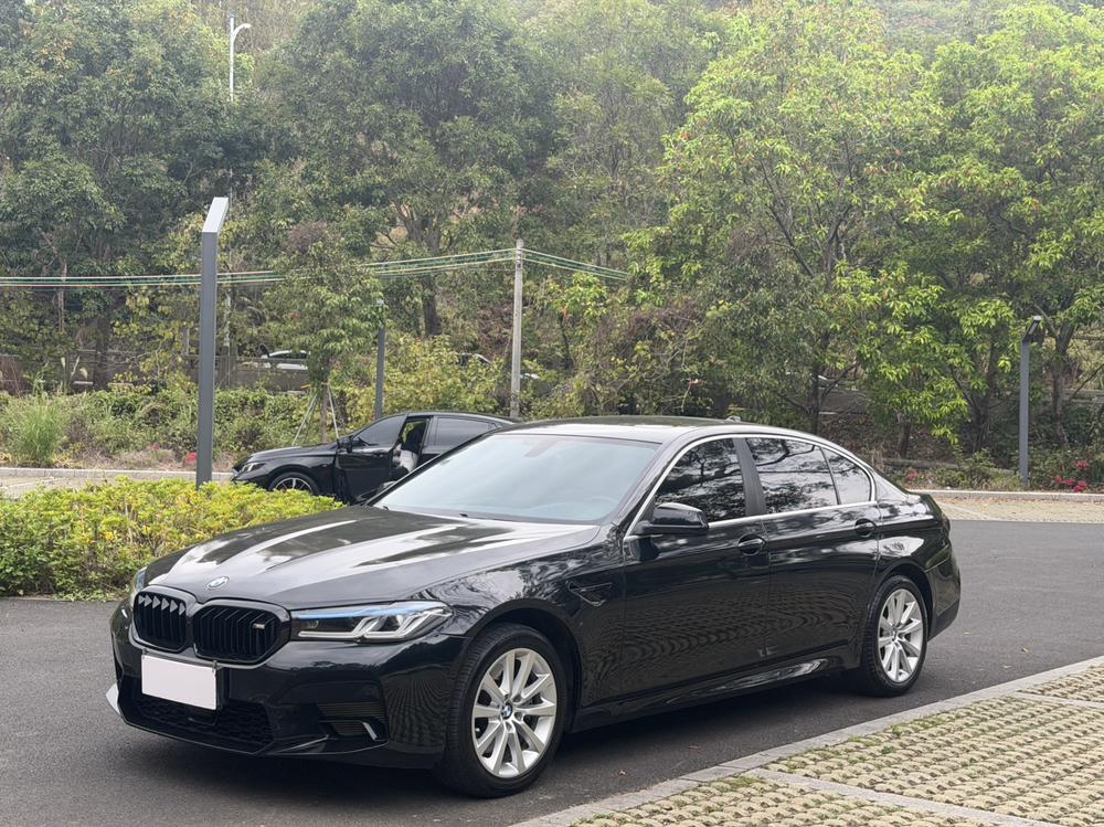 BMW 5 Series 2013 модификация 535Li Leading – фото 1