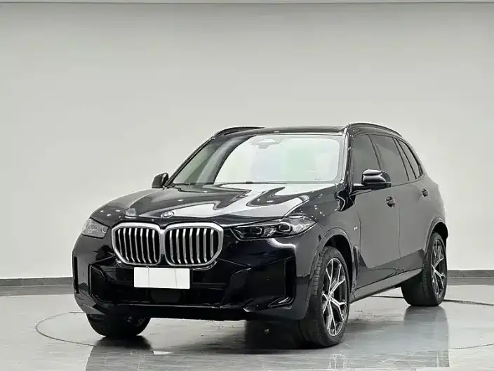 BMW X5 2023 Model xDrive30Li Exclusive Model M Sports Set – фото 1
