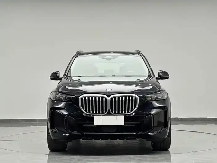BMW X5 2023 Model xDrive30Li Exclusive Model M Sports Set – фото 2