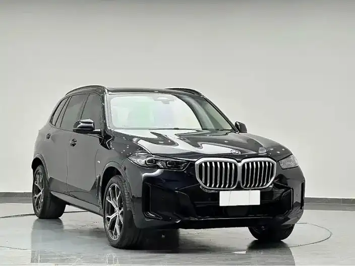 BMW X5 2023 Model xDrive30Li Exclusive Model M Sports Set – фото 3