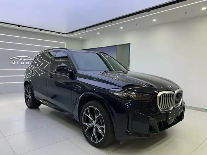 BMW X5 Imported 2022 Model xDrive30i M Sports Set – фото 3