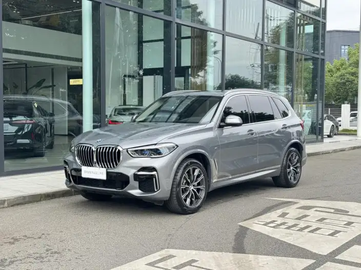 BMW X5 2022 Model xDrive 30Li Exclusive Model M Sports Set – фото 1