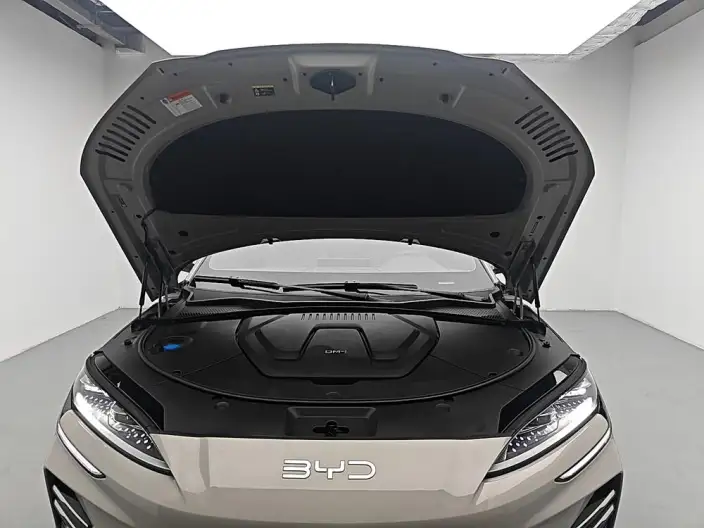 BYD Song PLUS DM 2025 Model DM-i 112KM Zunrong Model – фото 10
