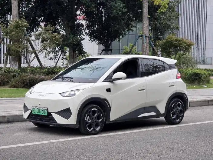 BYD Seagull 2025 Model Smart Driving Edition 305KM Free Edition – фото 1