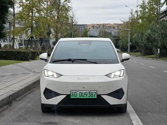 BYD Seagull 2025 Model Smart Driving Edition 305KM Free Edition – фото 2