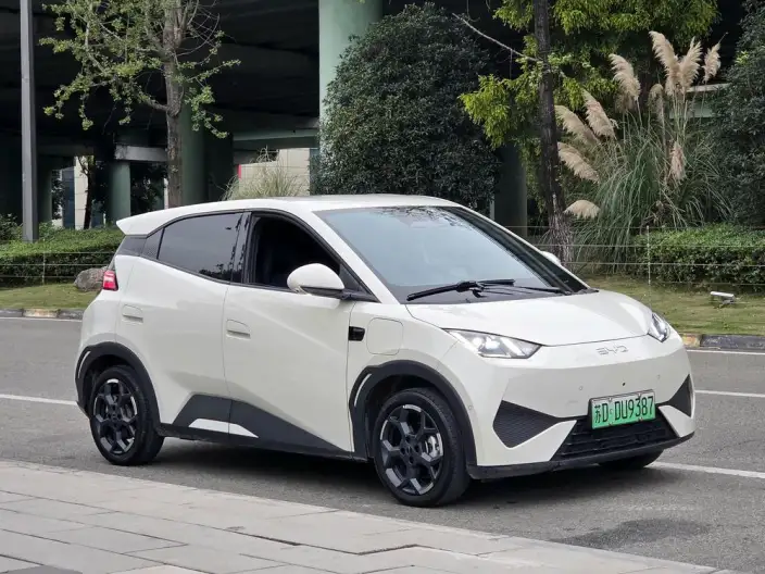 BYD Seagull 2025 Model Smart Driving Edition 305KM Free Edition – фото 3