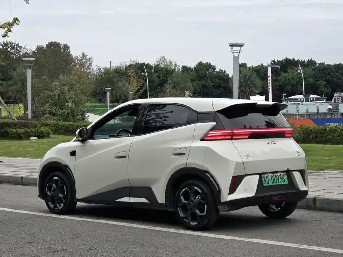 BYD Seagull 2025 Model Smart Driving Edition 305KM Free Edition – фото 5